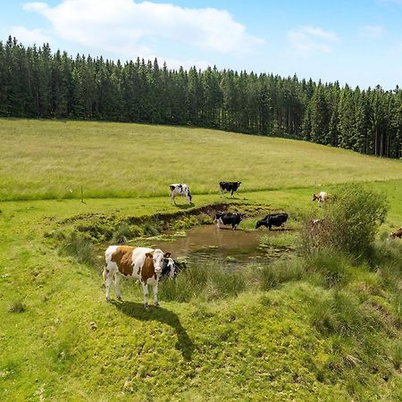 Ferienwohnung Duffner Schonach im Schwarzwald 外观 照片