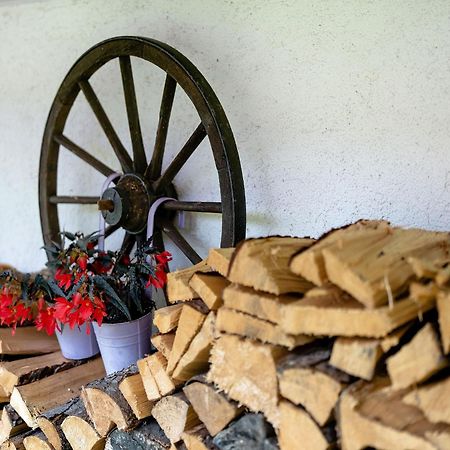 Ferienwohnung Duffner Schonach im Schwarzwald 外观 照片
