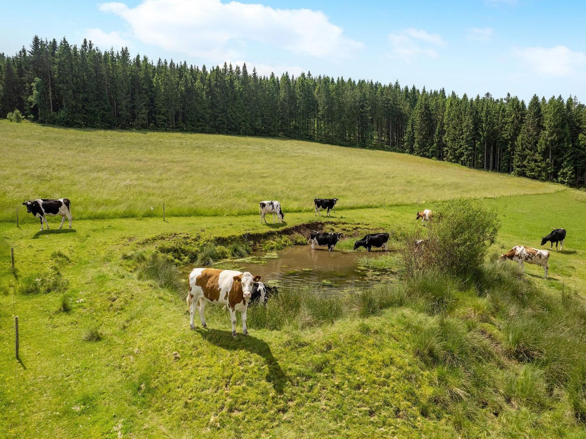 Ferienwohnung Duffner Schonach im Schwarzwald 外观 照片