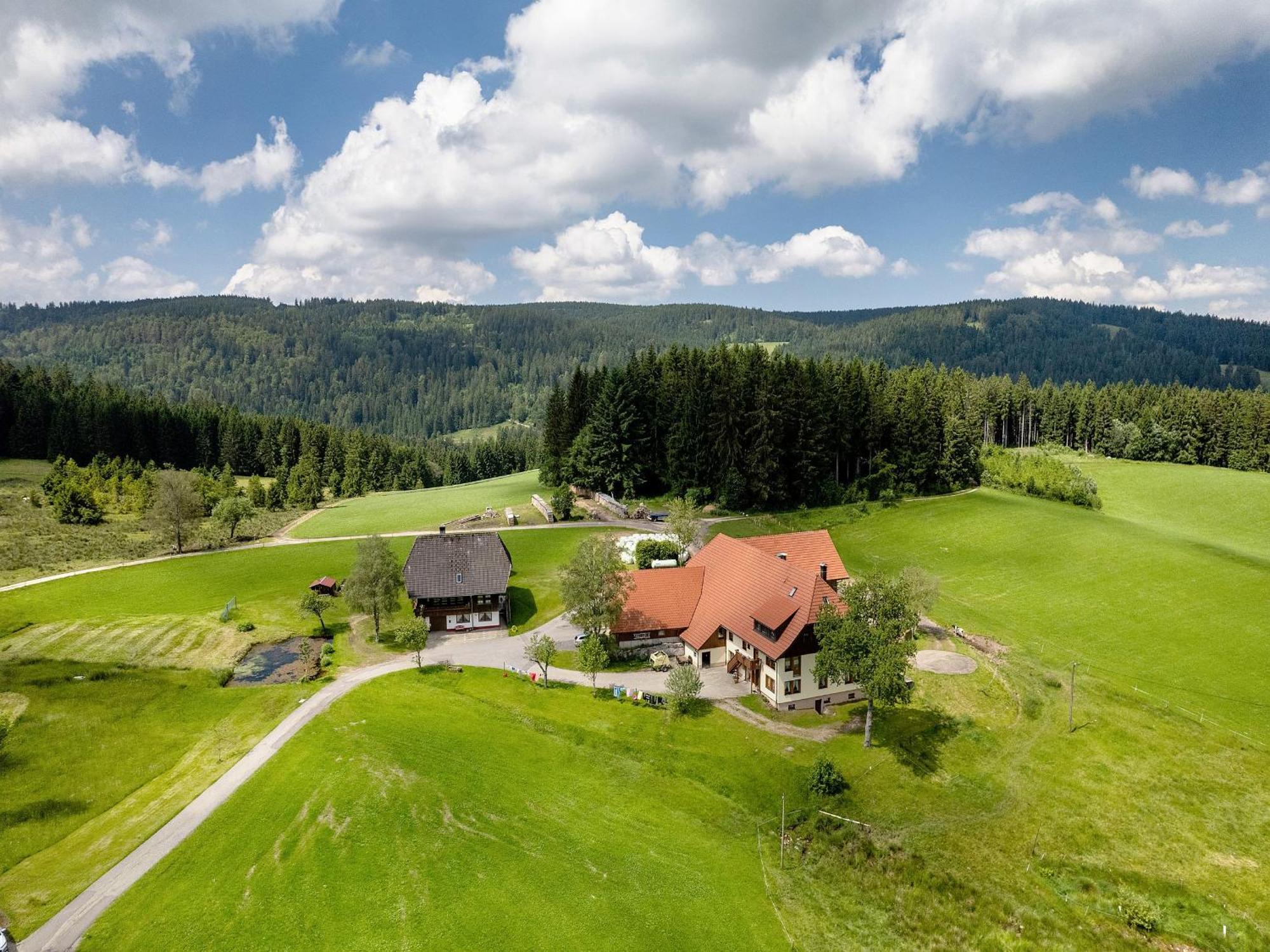 Ferienwohnung Duffner Schonach im Schwarzwald 外观 照片