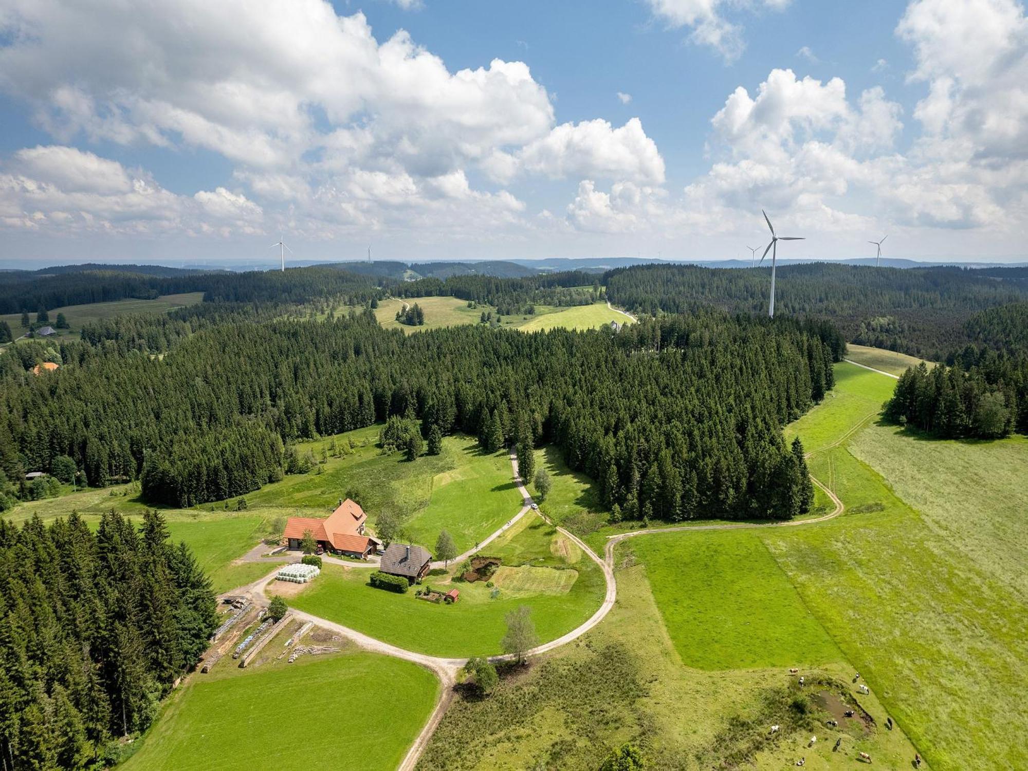 Ferienwohnung Duffner Schonach im Schwarzwald 外观 照片